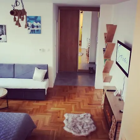 Apartman Srna Pale